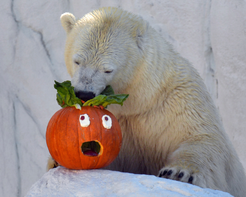 Image via Getty.